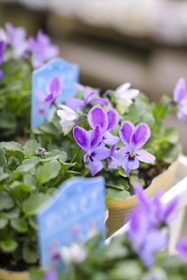 写真 2026-01-20 16 17 33_R_1