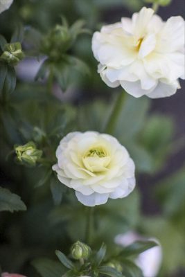 写真 2026-01-07 16 55 57_R_1