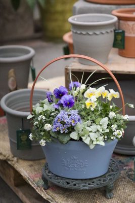 写真 2026-01-20 16 27 16_R_1