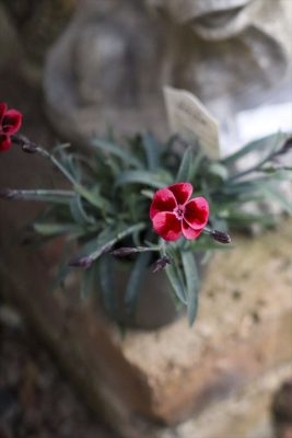 写真 2026-01-28 16 48 03_R_1