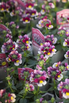 写真 2026-01-08 16 30 01_R_1