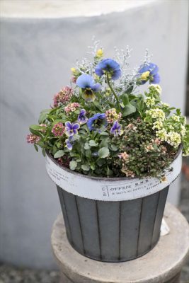 写真 2026-01-26 17 06 14_R_1