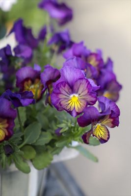 写真 2026-01-22 15 33 58_R_1