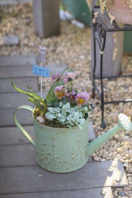 写真 2026-01-18 16 26 17_R_1