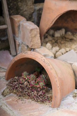 写真 2026-01-29 16 27 14_R_1