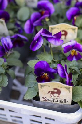 写真 2026-01-08 16 20 17_R_1