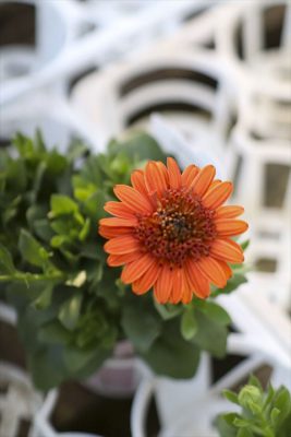 写真 2026-01-17 16 14 21_R_1