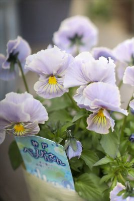 写真 2026-01-22 15 34 29_R_1