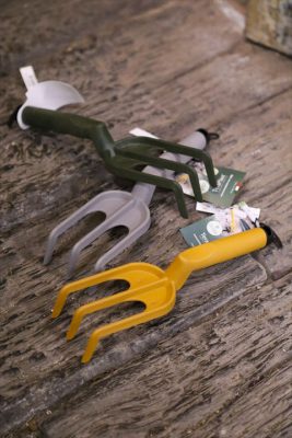 写真 2026-01-19 16 19 55_R_1