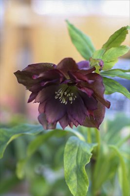 写真 2026-01-08 16 26 10_R_1