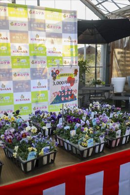 写真 2026-01-03 16 46 32_R_1