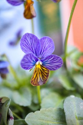 写真 2025-12-28 16 20 52_R_1