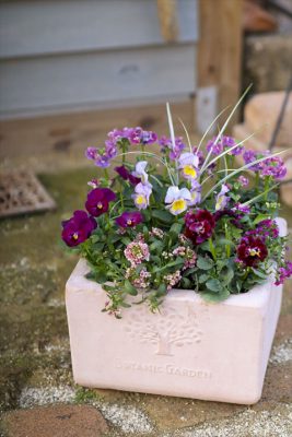 写真 2026-01-04 16 45 44_R_1