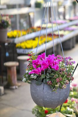 写真 2026-01-25 15 49 36_R_1