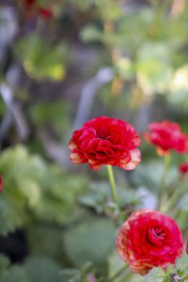 写真 2026-01-08 16 35 21_R_1