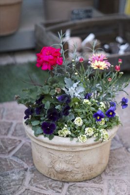 写真 2026-01-17 16 40 32_R_1