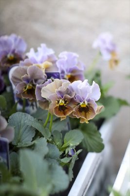 写真 2026-01-17 16 06 21_R_1