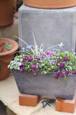 写真 2026-01-25 15 55 32_R_1