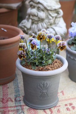 写真 2026-01-22 16 02 08_R_1