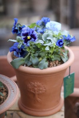 写真 2026-01-22 16 00 38_R_1