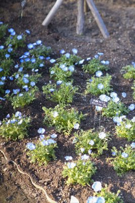 写真 2026-01-31 16 37 52_R_1