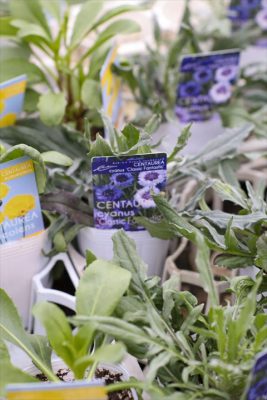 写真 2026-01-30 16 57 19_R_1