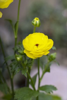 写真 2026-01-12 14 27 46_R_1