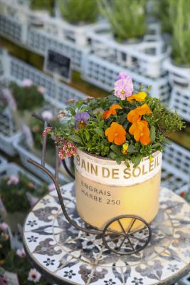 写真 2026-01-18 16 35 58_R_1