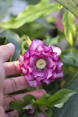 写真 2026-01-08 16 26 41_R_1