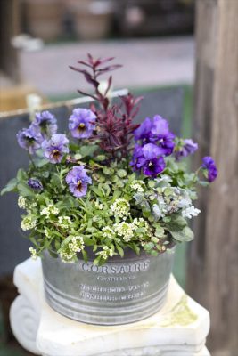 写真 2026-01-09 16 59 32_R_1