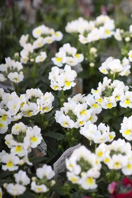 写真 2026-01-08 16 30 58_R_1