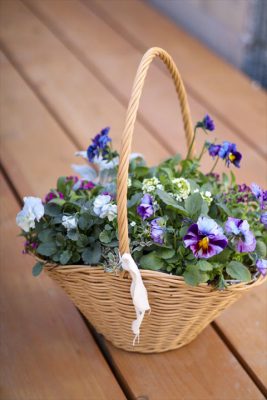 写真 2026-01-04 16 46 45_R_1