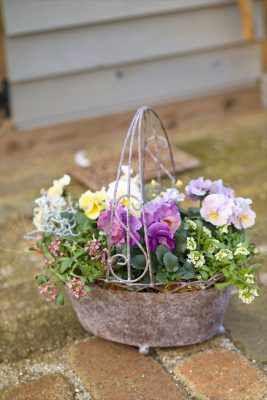 写真 2026-01-04 16 38 43_R_1