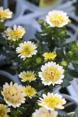 写真 2026-01-17 16 14 55_R_1