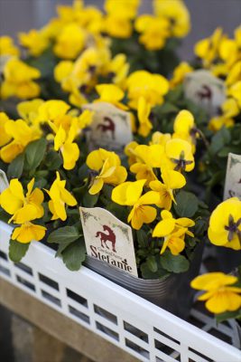 写真 2026-01-08 16 19 54_R_1