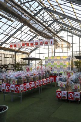 写真 2026-01-03 16 46 54_R_1