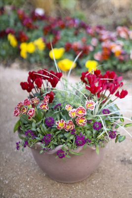 写真 2026-01-04 16 47 41_R_1