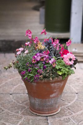 写真 2026-01-10 16 38 20_R_1