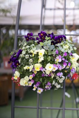 写真 2026-01-30 16 30 59_R_1