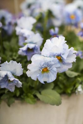 写真 2026-01-20 16 23 34_R_1