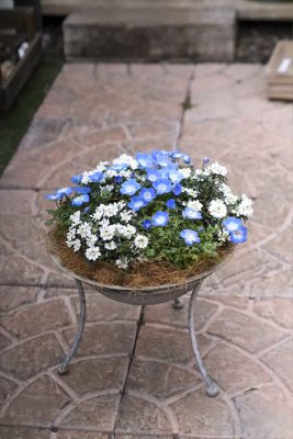 写真 2026-01-29 16 20 47_R_1