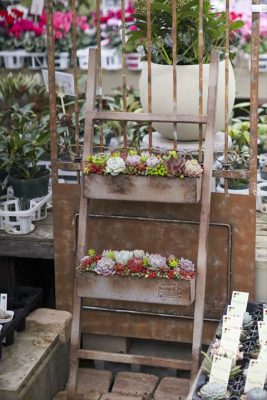 写真 2026-01-29 16 32 04_R_1