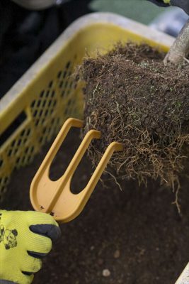 写真 2026-01-19 16 17 33_R_1