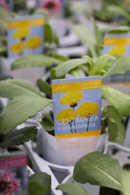 写真 2026-01-30 16 57 40_R_1