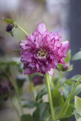 写真 2026-01-22 15 24 20_R_1