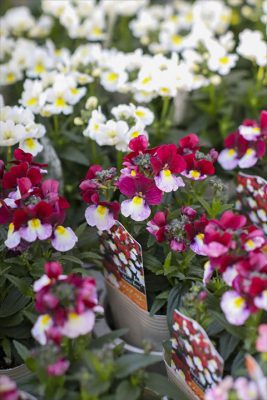 写真 2026-01-08 16 30 34_R_1