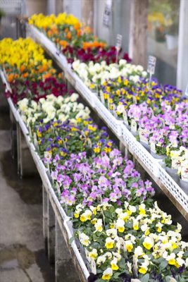 写真 2026-01-20 16 30 53_R_1