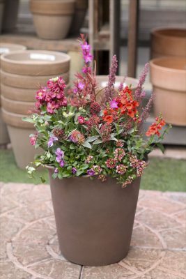 写真 2026-01-04 16 40 38_R_1