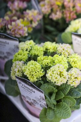 写真 2026-01-18 16 23 06_R_1