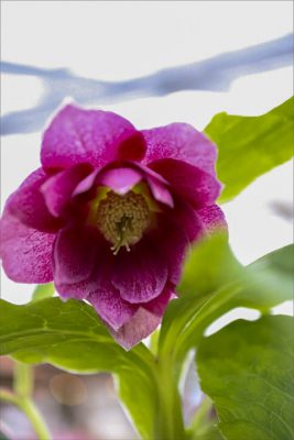 写真 2026-01-12 14 36 10_R_1